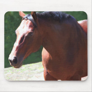 Mousepad Prejuízo impagável (Portia)