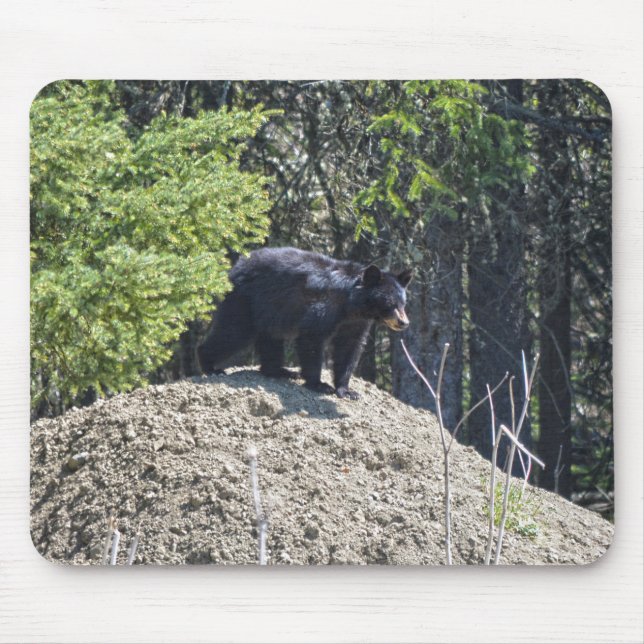 Mousepad Presente de Fotografia de Wildlife do Urso Negro S (Frente)