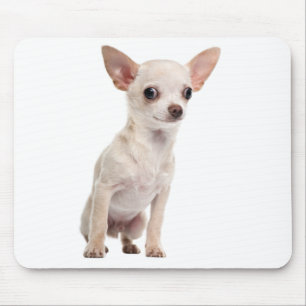 Mousepad Presente Divertido para Amante de Cachorro Chihuah