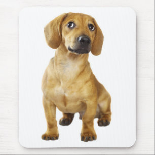 Mousepad Presente Fofinho de Cachorro Wiener Dascshund