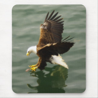 Mousepad Presente Motivacional Da Águia Balda