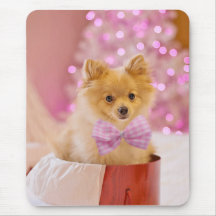 Presente no presente do docinho de Natal