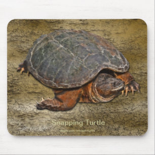 Mousepad Presente para amante do Terrapin da Tartaruga