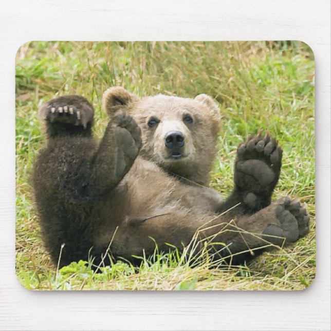 Mousepad Presentes Brown_Bear_Kodiak_NWR (Frente)