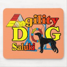 Presentes de agilidade na Saluki