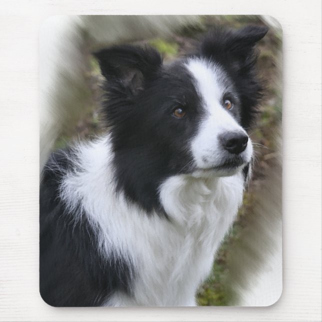 Mousepad Presentes de Arte de Collie de Borda (Frente)