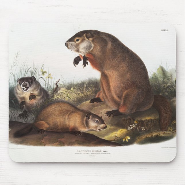 Mousepad Presentes de Deco de Camping em Woodchuck (Frente)
