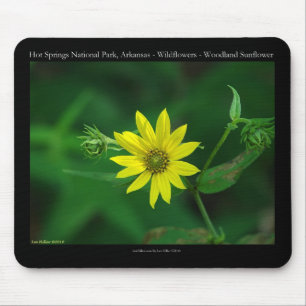 Mousepad Presentes de Girassol da Floresta do Parque Nacion