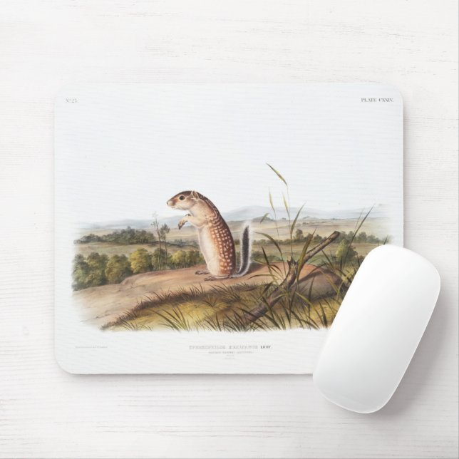 Mousepad Presentes do Deco de Acampamento do Esquilo Marmot (Com mouse)