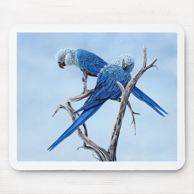 Mousepad Presentes do Macaw de Spix para o amante de Spix (Frente)