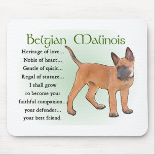 Mousepad Presentes do Malinois Belga