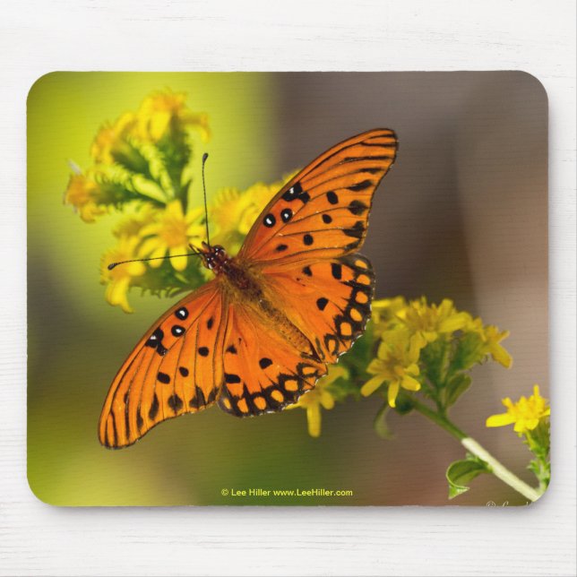 Mousepad Presentes e Roupa da borboleta do Golfo Fritillary (Frente)