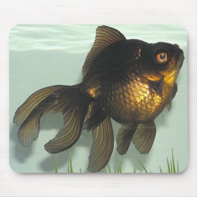 Mousepad Preto-amarre o peixe dourado (Frente)