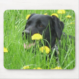 MOUSEPAD PRETO DE LABRADOR RETRIEVER DO CÃO