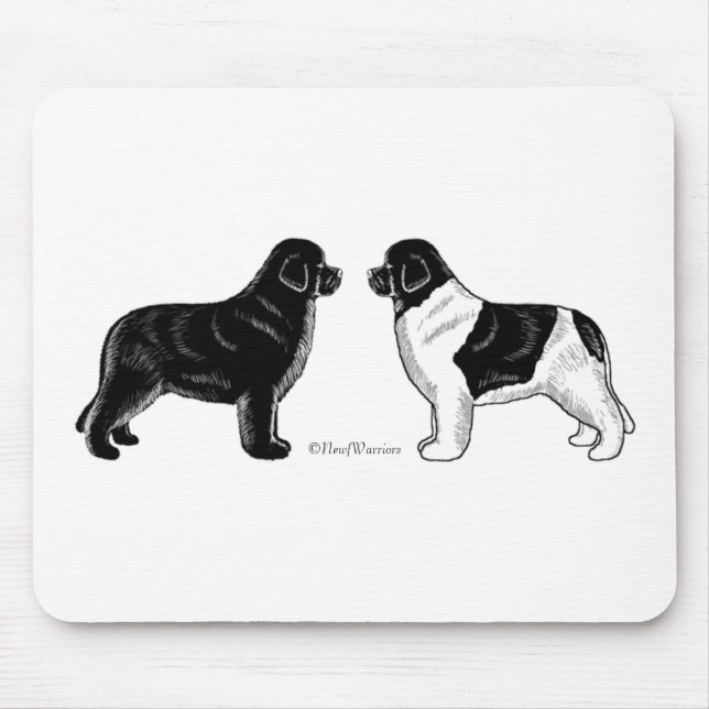 Mousepad Preto e cão de Landseer Terra Nova (Frente)