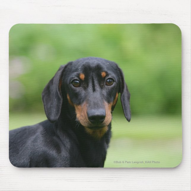 Mousepad Preto e Dachshund 1 de Tan Miniture (Frente)