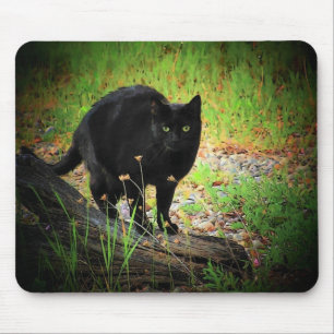 Mousepad Preto no verde que arqueia o gato preto