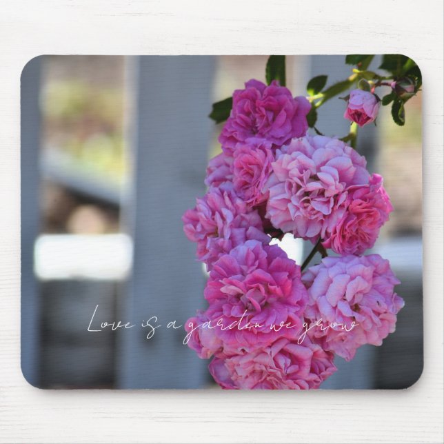 Mousepad Pretty Pink Roses White Picket Fence Photography   (Frente)