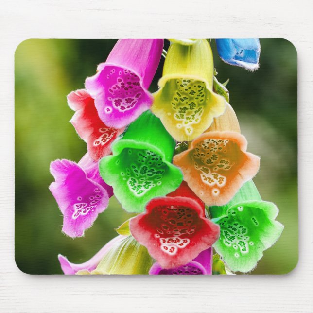 Mousepad Primavera (Frente)