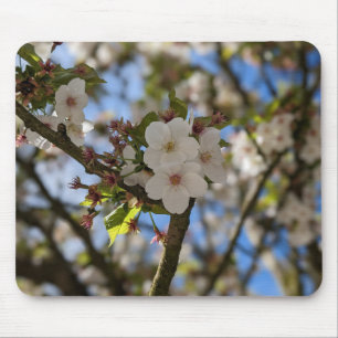 Mousepad Primavera