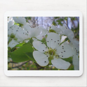 Mousepad Primavera