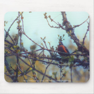 Mousepad Primavera