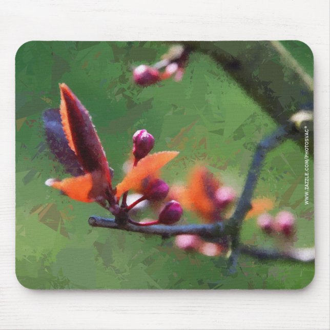 Mousepad Primavera (Frente)