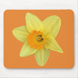 Mousepad Primavera amarelo Daffodil
