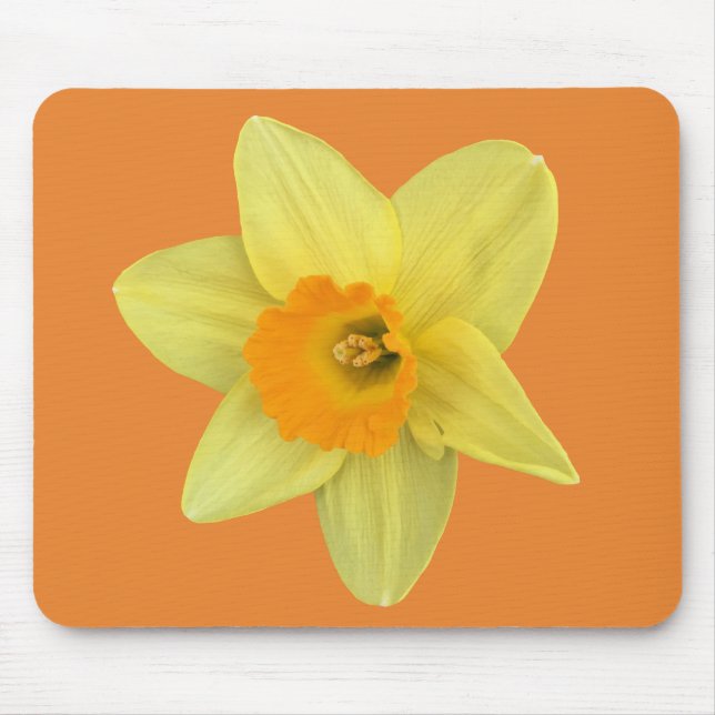 Mousepad Primavera amarelo Daffodil (Frente)