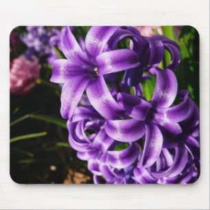 Mousepad Primavera azul do jacinto II floral