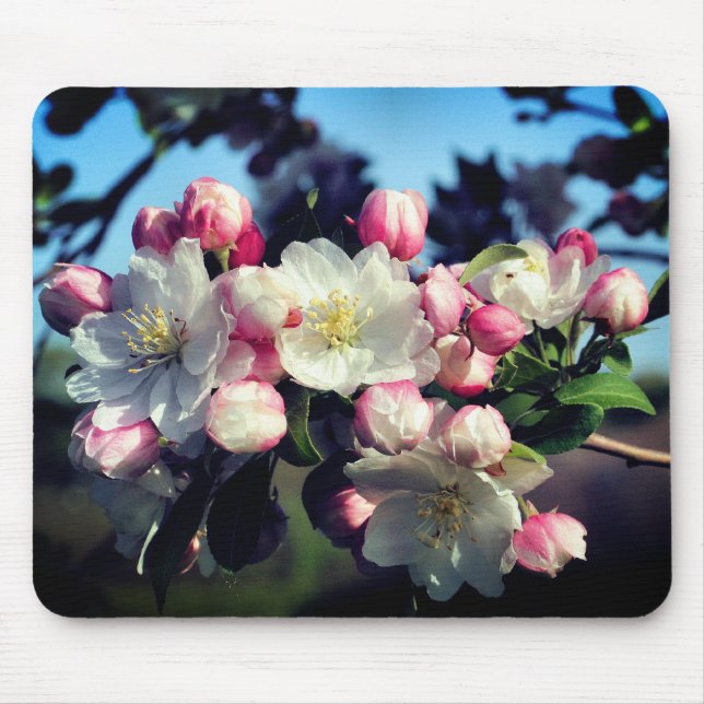 Mousepad Primavera brilhante Flor de Flores Incrível (Frente)