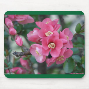 Mousepad Primavera cor-de-rosa com flores
