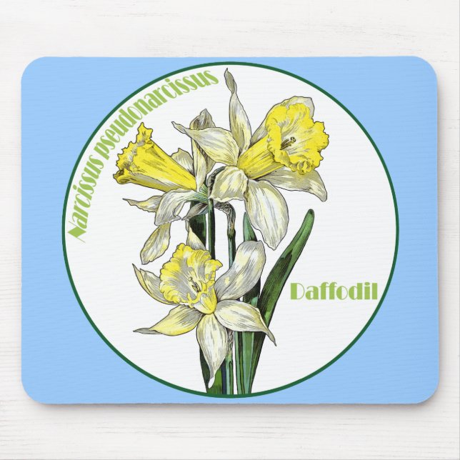 Mousepad Primavera Daffodils (Frente)