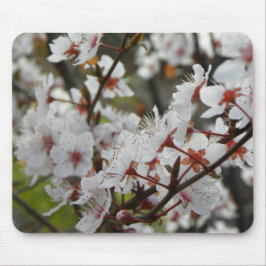 Mousepad Primavera em Canberra