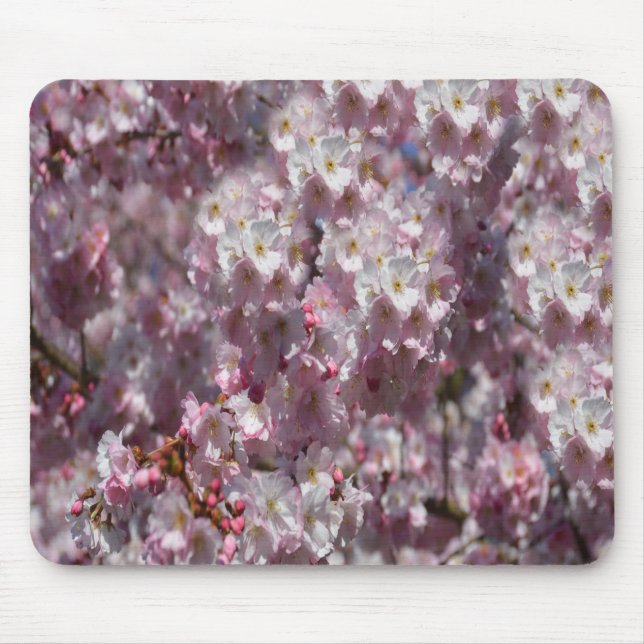 Mousepad Primavera em Rosa (Frente)