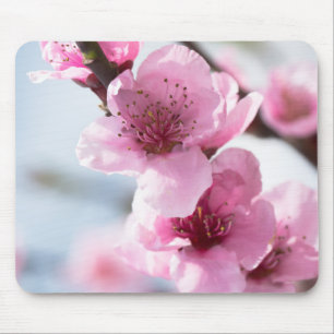 Mousepad Primavera florescendo