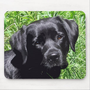 Mousepad Primavera Joy - Labrador Retriever - Laboratório P