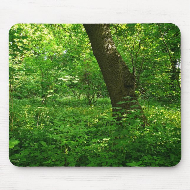 Mousepad Primavera na floresta (Frente)