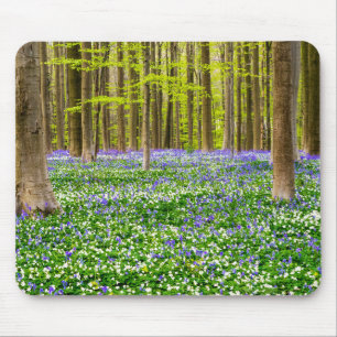 Mousepad Primavera na Floresta Azul
