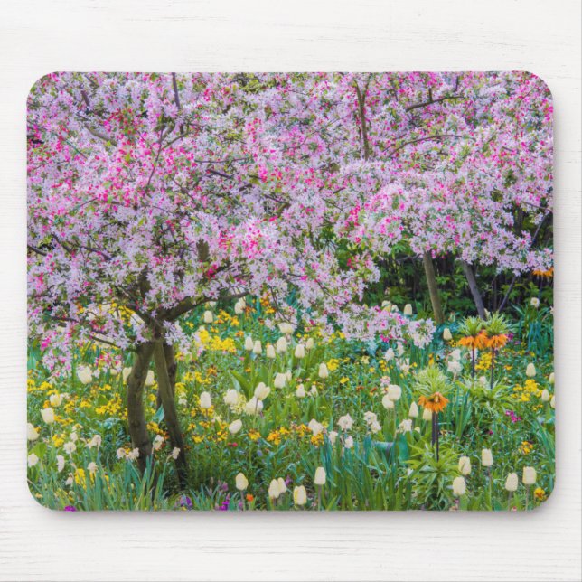 Mousepad Primavera no jardim de Claude Monet (Frente)