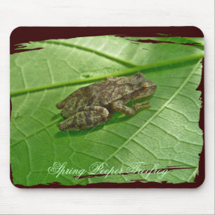 Mousepad Primavera Peeper (Pseudacris crucifer) Artigos de