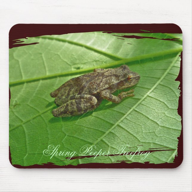 Mousepad Primavera Peeper (Pseudacris crucifer) Artigos de  (Frente)