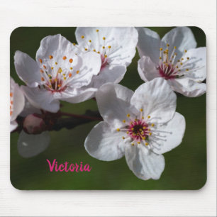 Mousepad Primavera Plum Blossoms