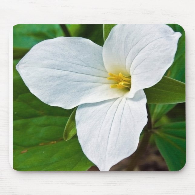 Mousepad Primavera Trillium (Frente)