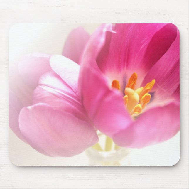Mousepad Primavera Tulipa do mouse (Frente)