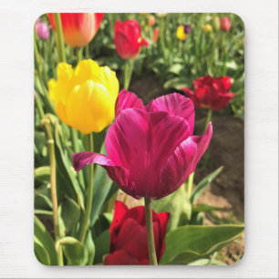Mousepad Primavera Tulips, Oregon