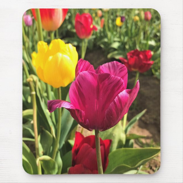 Mousepad Primavera Tulips, Oregon (Frente)
