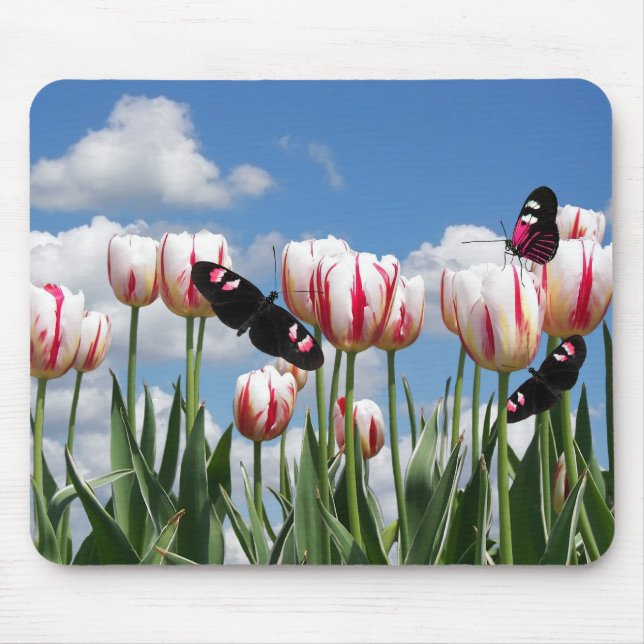 Mousepad Primavera Wings (Frente)