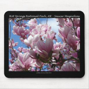 Mousepad Primaveras Quentes Parque Nacional AR Saucer Magno