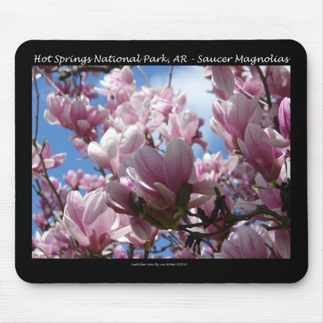 Mousepad Primaveras Quentes Parque Nacional AR Saucer Magno (Frente)